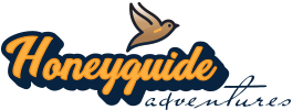 Honeyguide Logo
