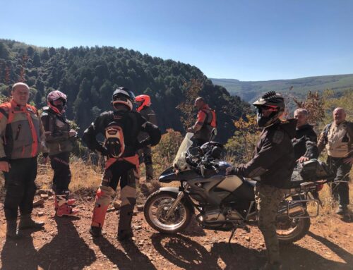 You really oughta wanna!