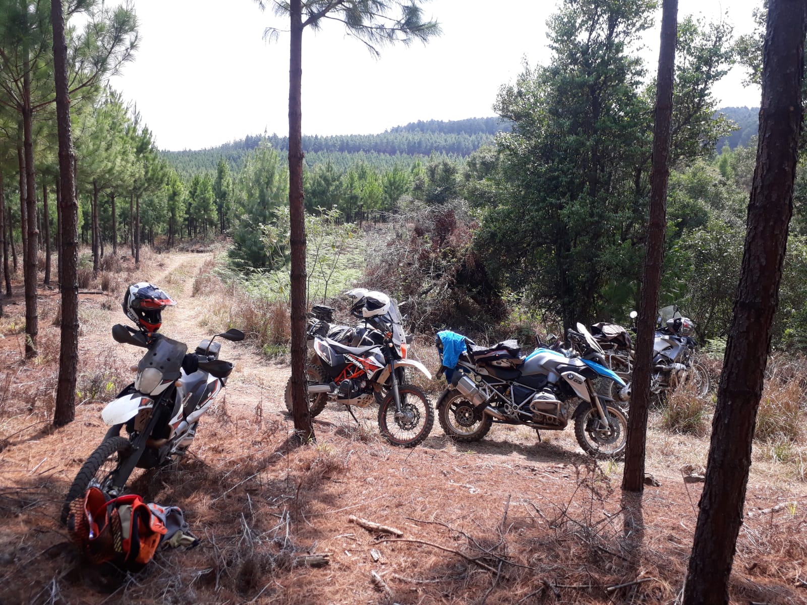 WhatsApp Image 2020-09-26 at 18.15.21